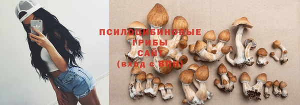 PSILOCYBIN Приозерск