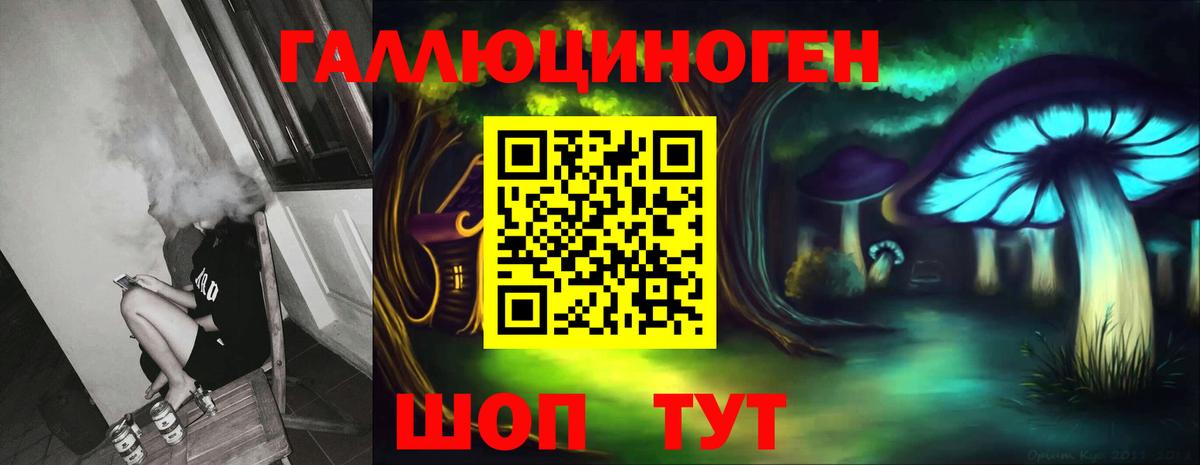 Галлюциногенные грибы GOLDEN TEACHER  Вход с VPN  продажа наркотиков  Нововоронеж  Галлюциногенные грибы GOLDEN TEACHER 