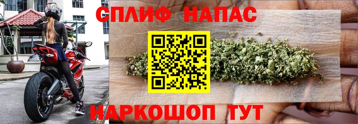 МАРИХУАНА план  Вход с VPN  Нововоронеж  Конопля Amnesia  Шишки марихуана конопля  Бошки марихуана ГИДРОПОН 